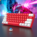 Teclado Mecânico Gamer 60% Wired – Edição Ultra Compacta com Retro iluminação RGB